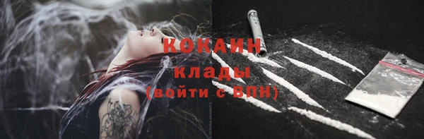 стаф Новокубанск