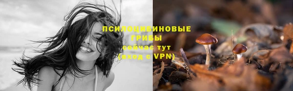 дживик Валдай