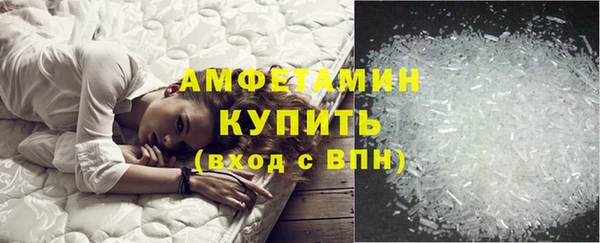 стаф Новокубанск