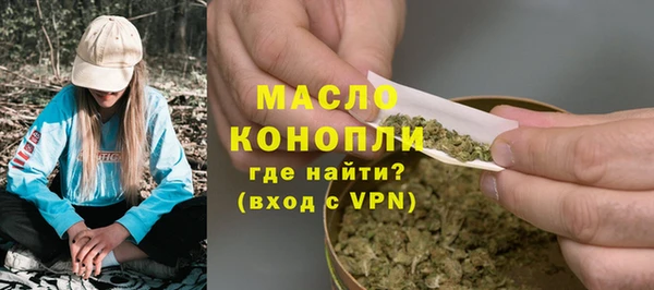дмт Новозыбков