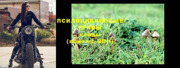 стаф Новокубанск