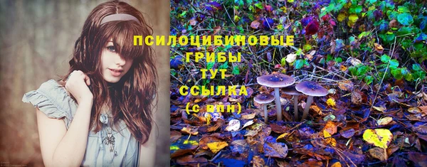 метадон Няндома